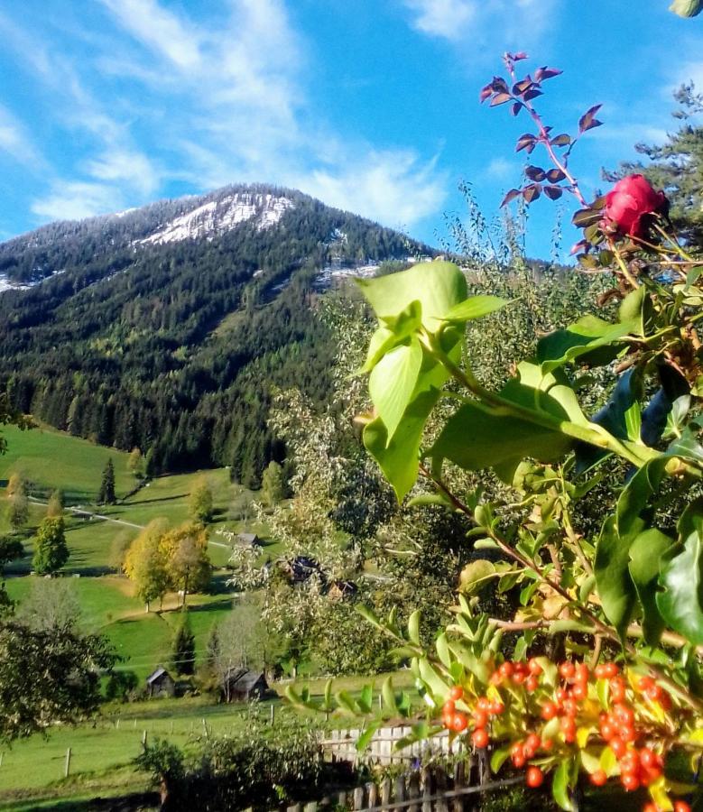 Pension Stammerhof Schladming Bagian luar foto