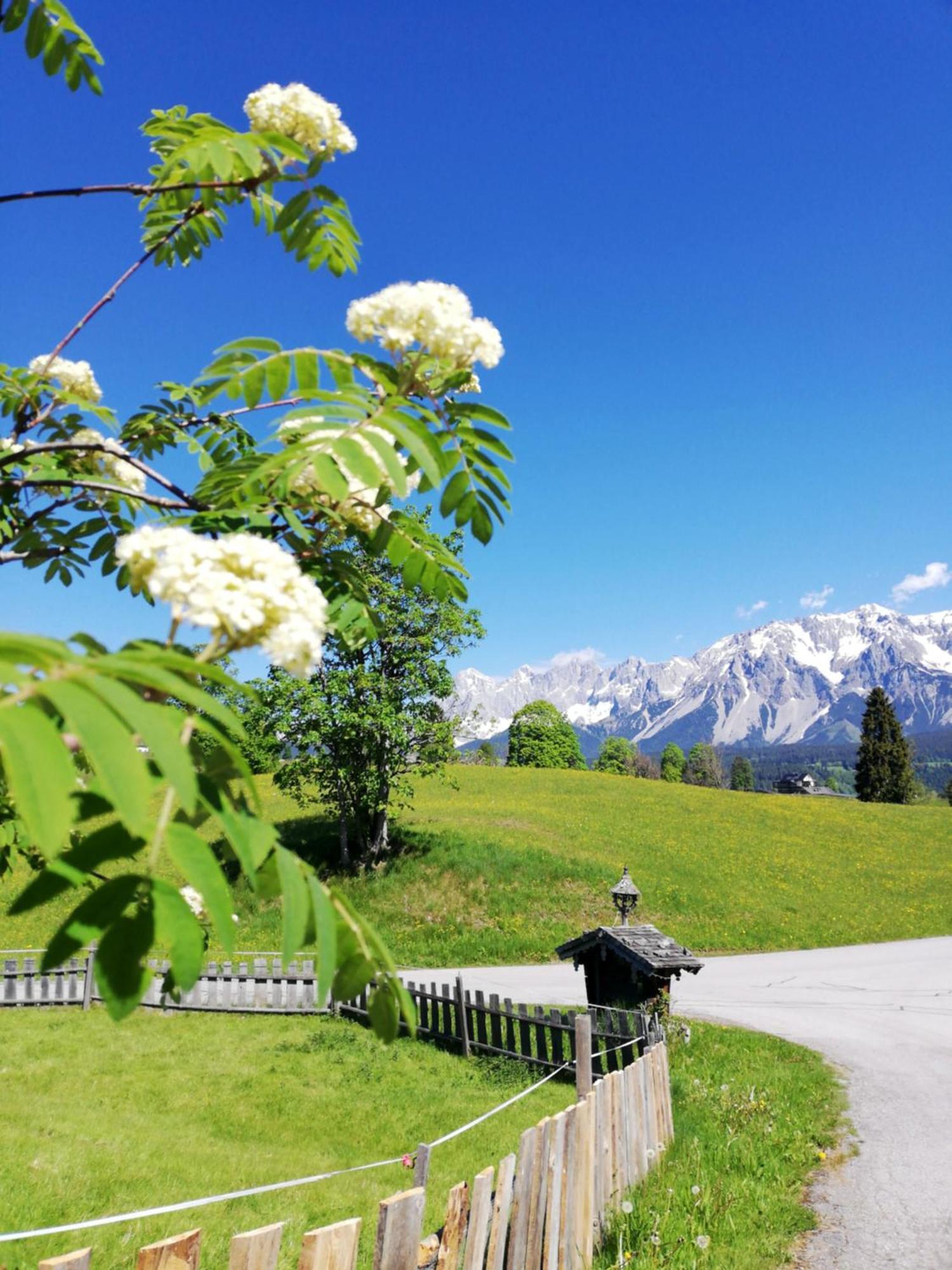 Pension Stammerhof Schladming Bagian luar foto