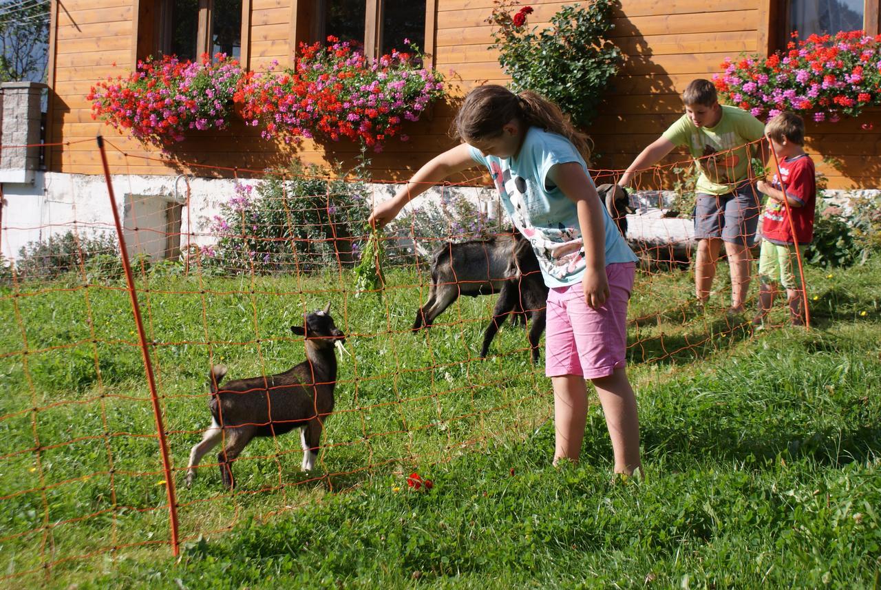 Pension Stammerhof Schladming Bagian luar foto