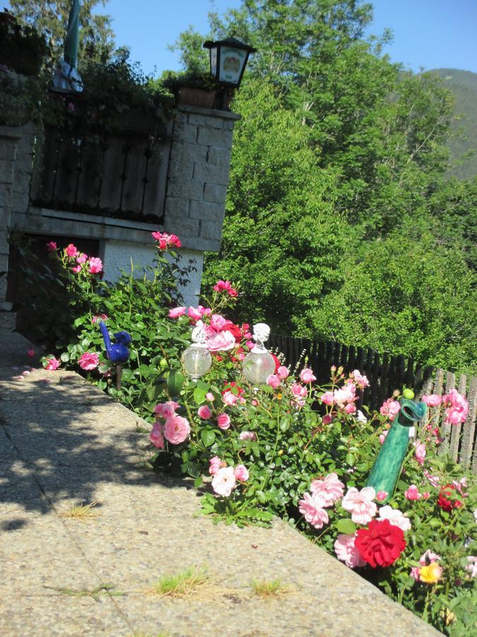 Pension Stammerhof Schladming Bagian luar foto