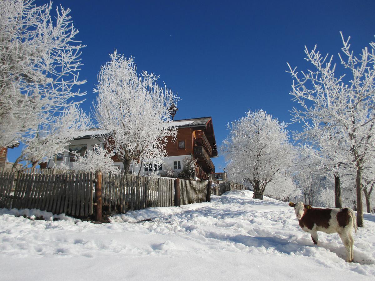 Pension Stammerhof Schladming Bagian luar foto